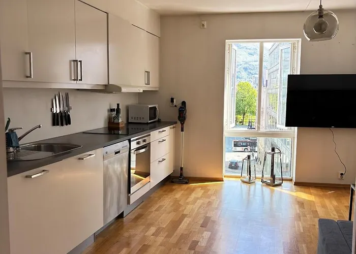Apartament In The Middle Of Centre! Bergen