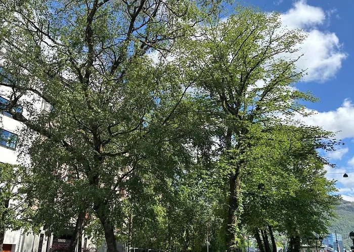 Apartament In The Middle Of Centre!